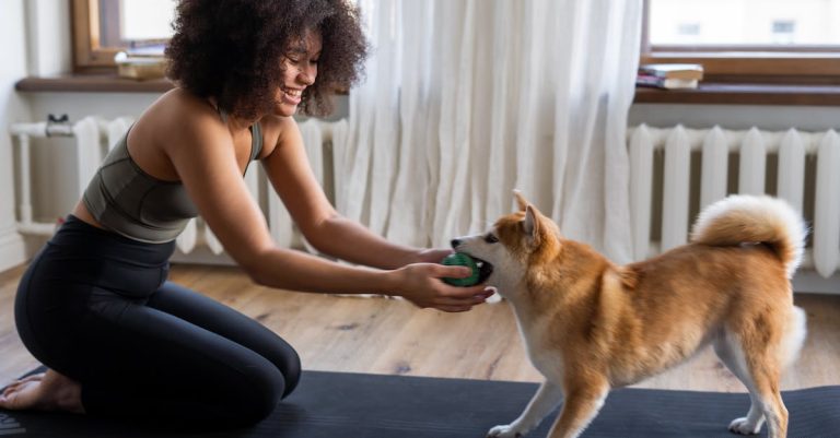 Want Assist Coaching Your Canine? Attempt These Ideas.