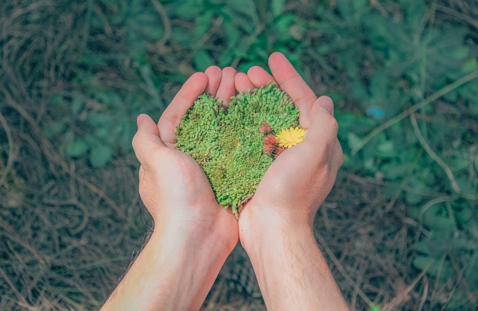 Enduring‍ Options ⁣for the ⁤eco-Conscious decorator