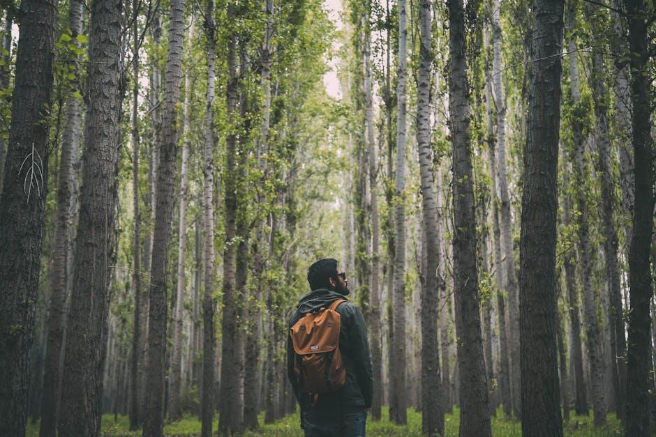 Exploring Compact Aromatherapy: Travel-Sized Diffusers for Wanderlust