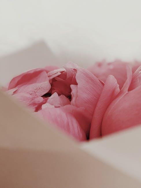 Gentle Aromatherapy for ​Restful‍ Nights