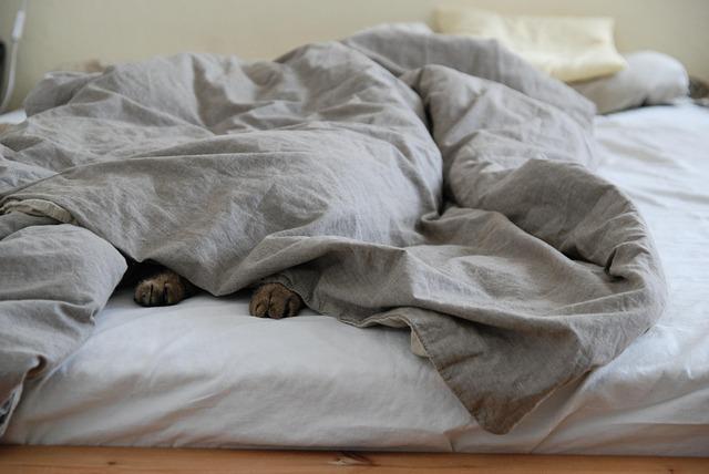 Duvets Uncovered:⁤ Luxury ‍and Versatility in ⁣Bedding Solutions