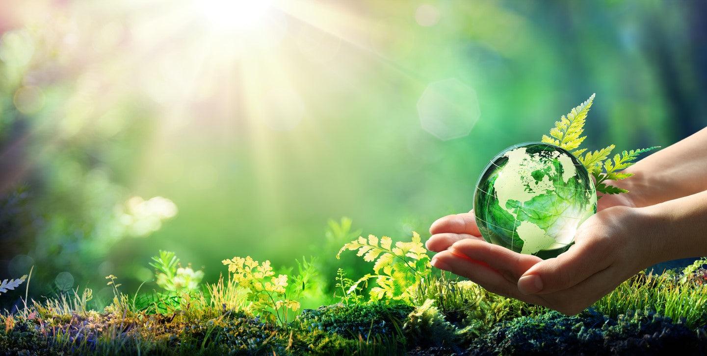 Eco-Pleasant Options: lasting Practices in ​Bedding Choices