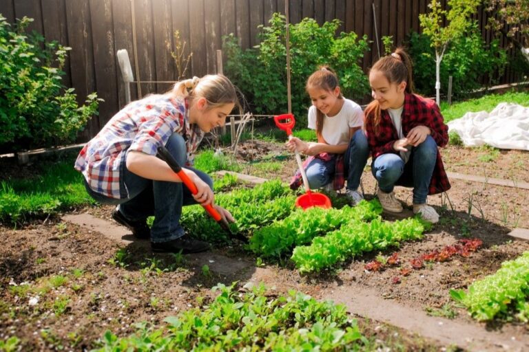 Top 10 Amazon Eco Products Reviewed – Green or Just Greenwashed?