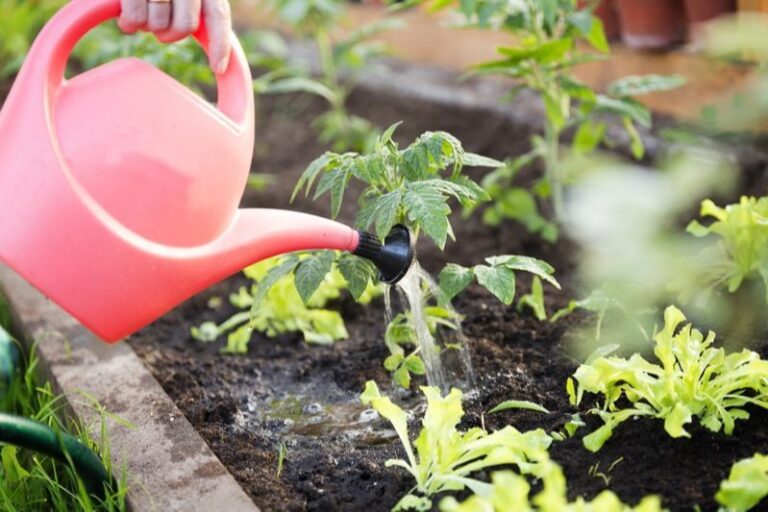Are Eco-Friendly Cleaners as Effective as Chemical Ones? Side-by-Side Test