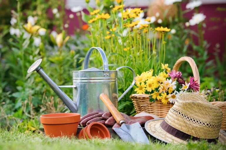Travel-Friendly Eco Essentials – TSA-Approved & Waste-Free